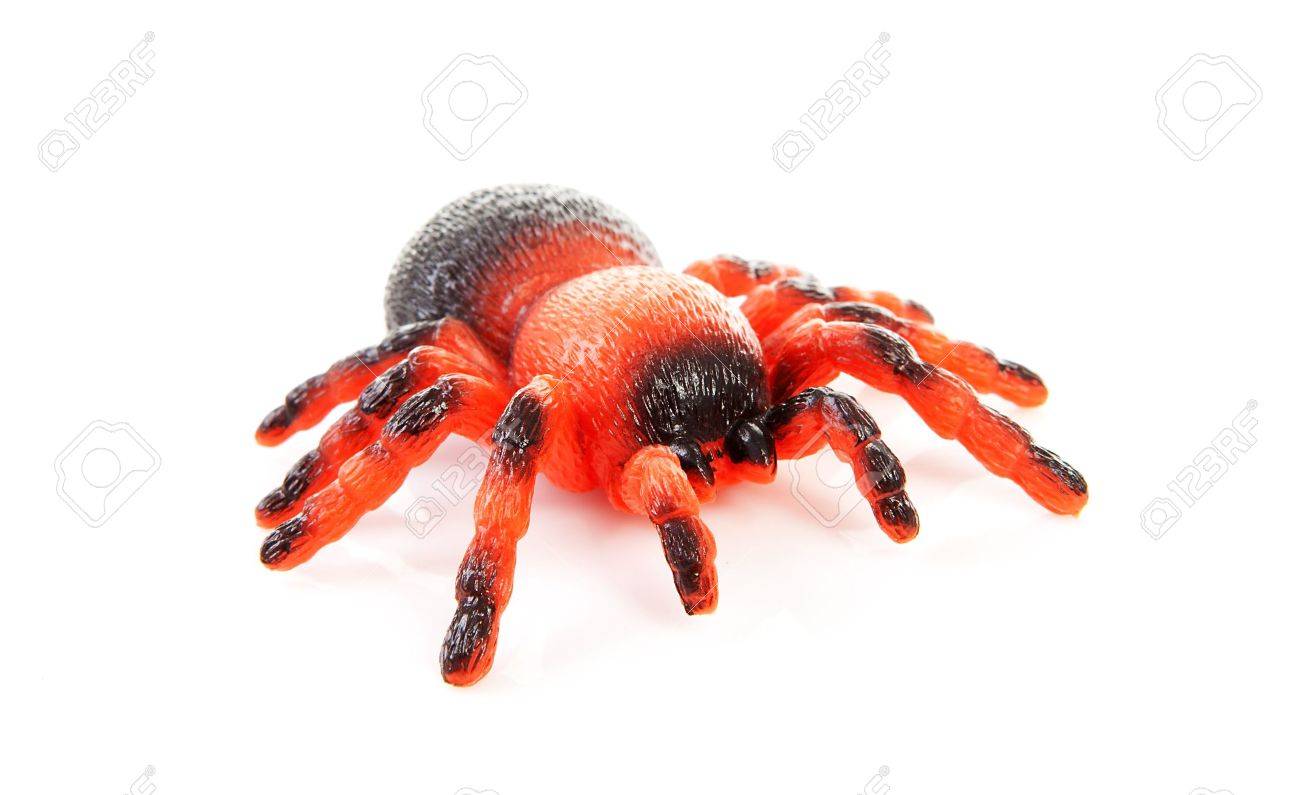plastic spider toy