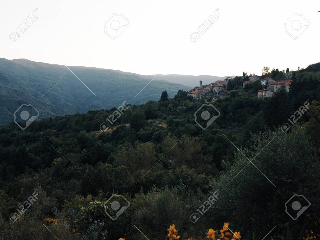 etiam-dictum-ipsum-a-felis