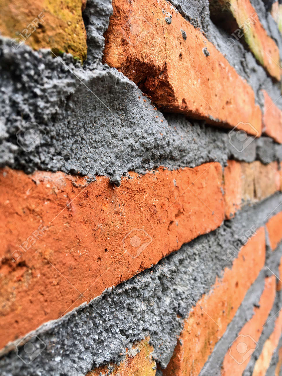 etiam-dictum-ipsum-a-felis