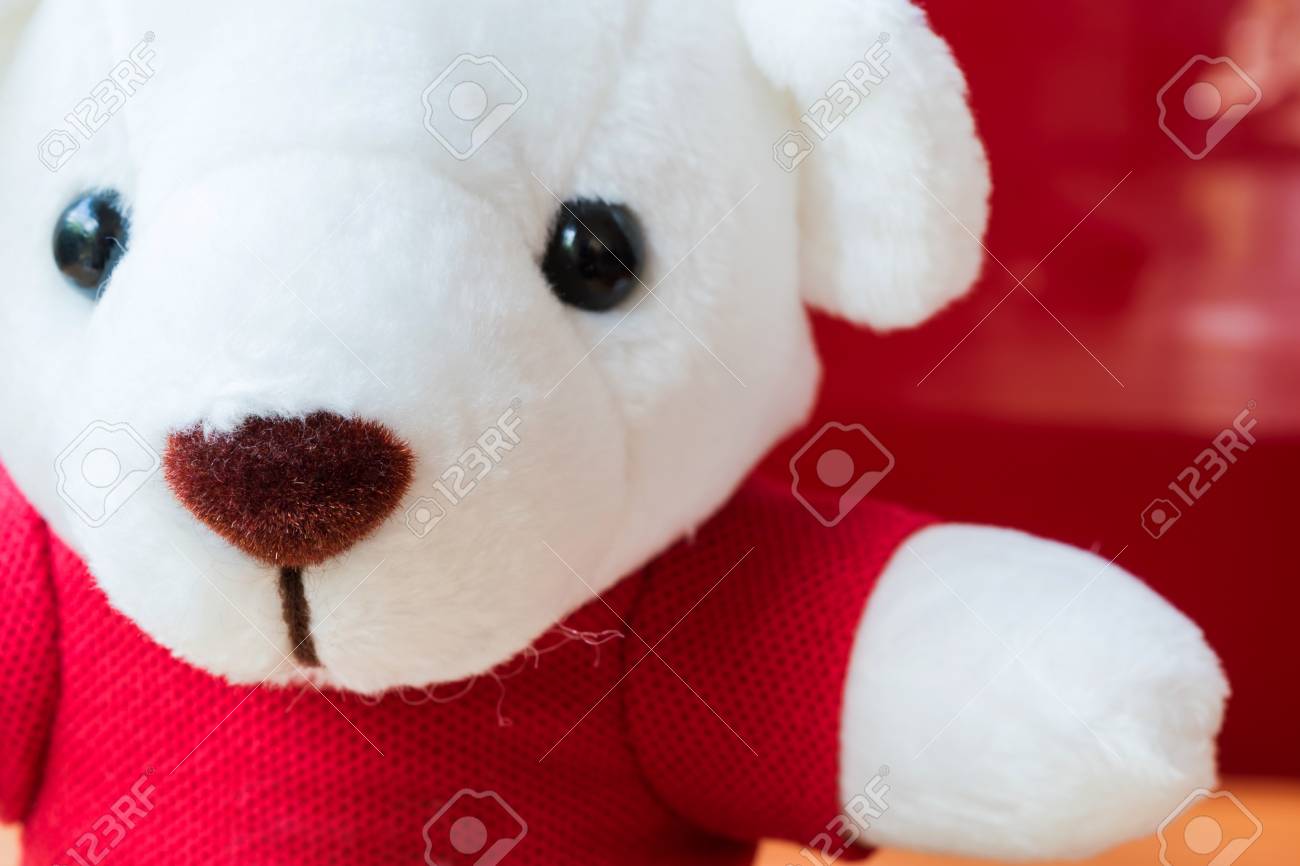赤い T シャツで愛らしい白いクマのおもちゃのクローズ アップ画像 の写真素材 画像素材 Image