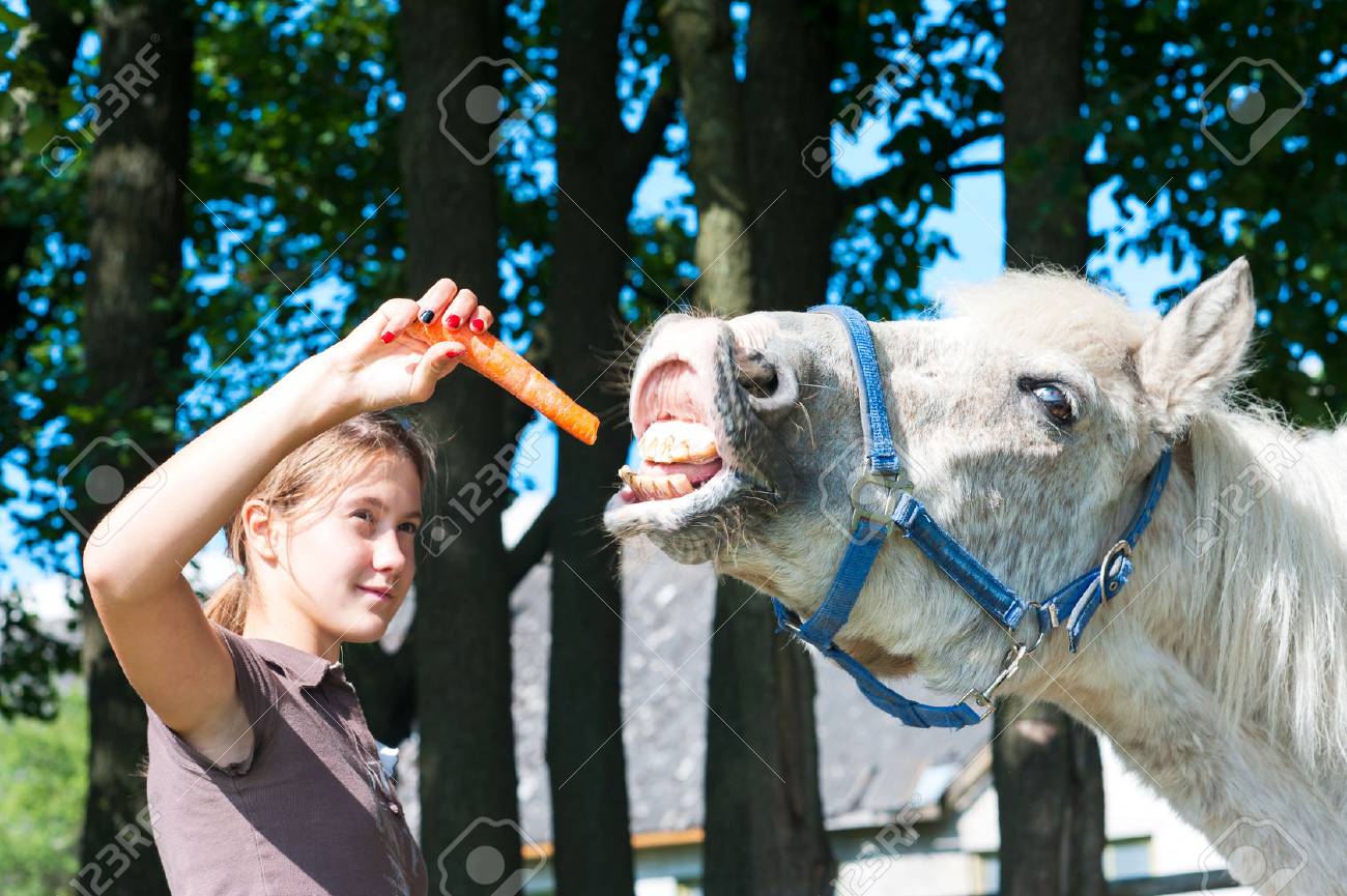 若い 10 代の少女は 馬の口の上にニンジンをぶら下げます 色屋外水平夏のイメージ の写真素材 画像素材 Image