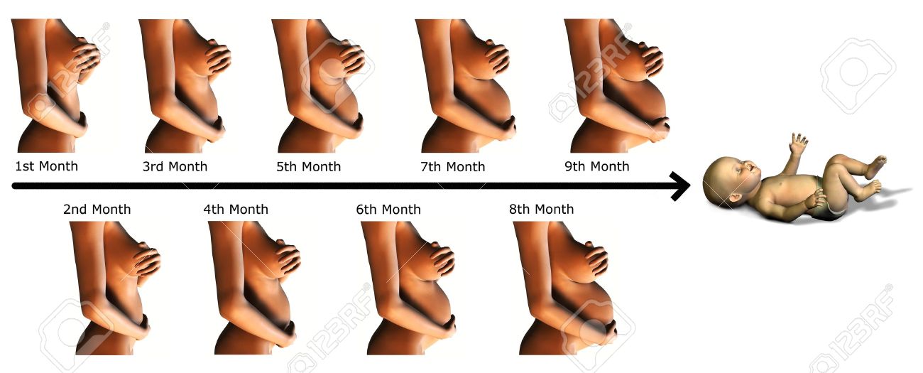 Une Image Montrant Les Differentes Etapes De 9 Mois De Grossesse Et Un Bebe A La Fin Banque D Images Et Photos Libres De Droits Image