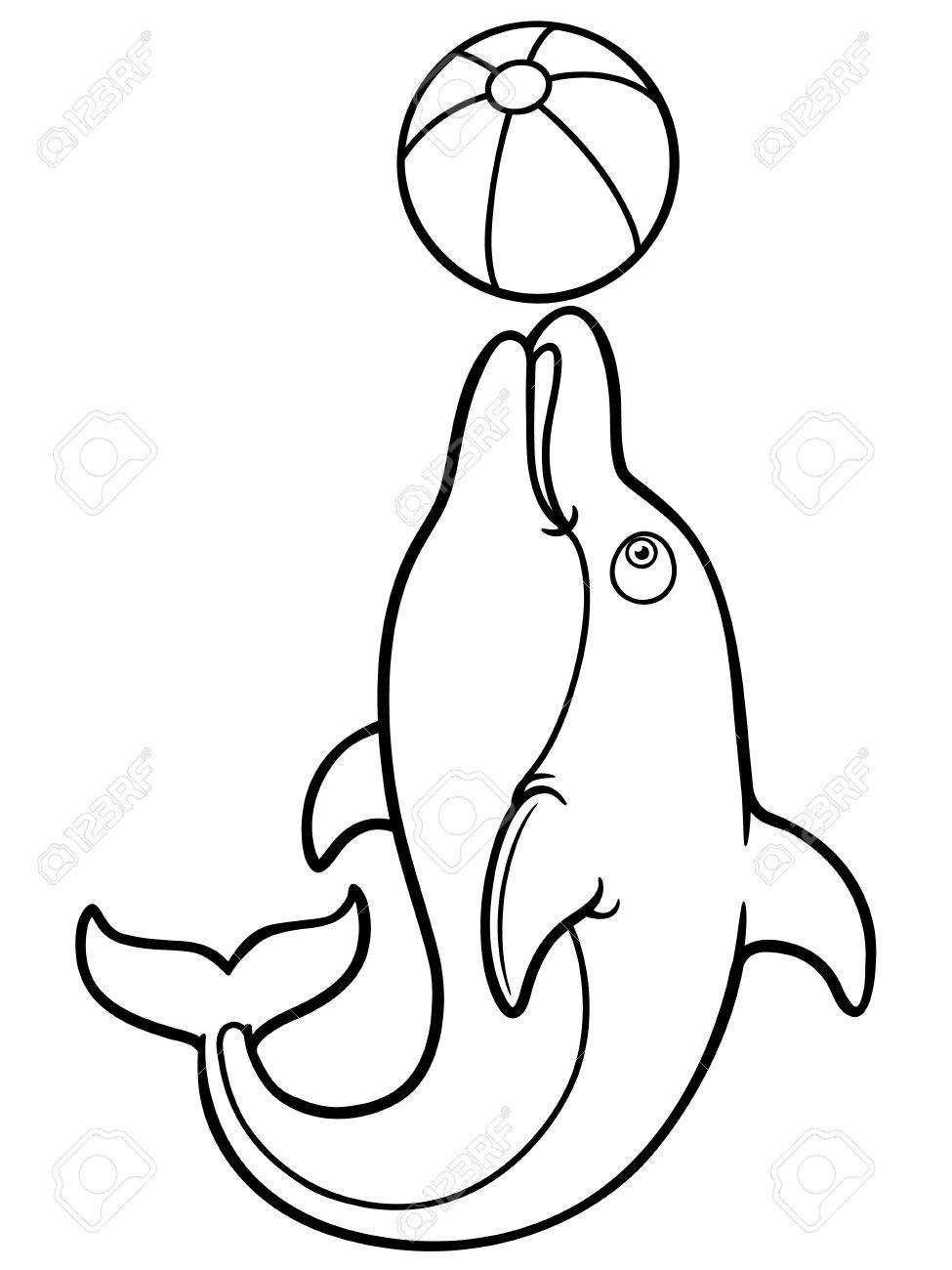 680+ Dolphin Coloring Book Picture HD 680+ Dolphin Coloring Book Picture HD