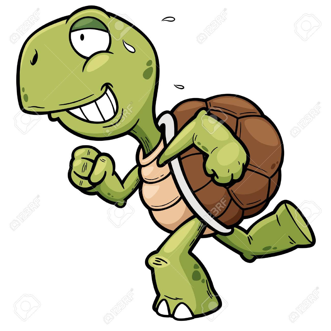 Vector illustration of Cartoon turtle - 36652079 Vector illustration of Cartoon turtle - 36652079