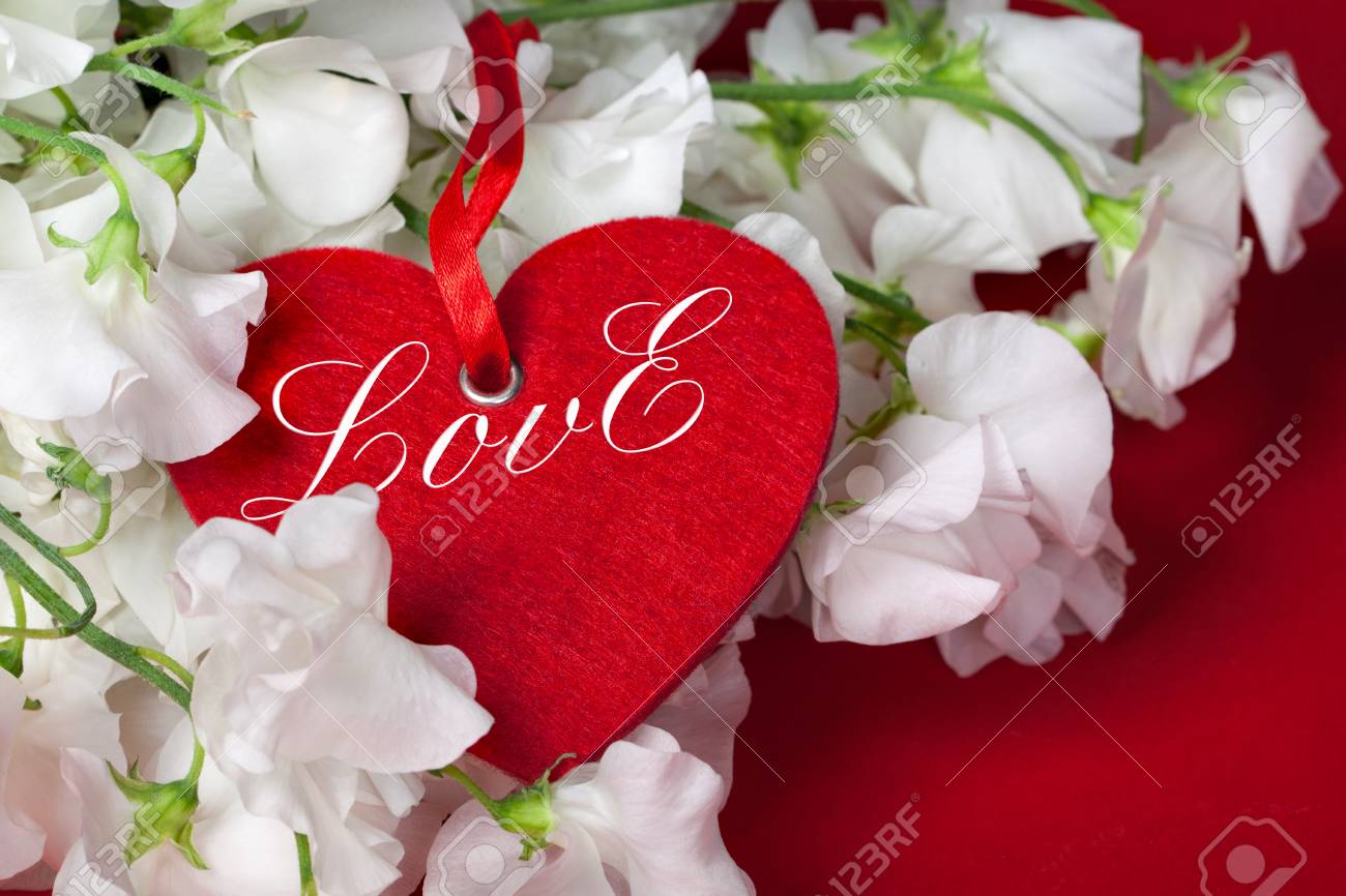 Immagini Stock Carta Di San Valentino Con Il Cuore E La Linea Tutto Cio Che Serve E La Frase D Amore Image