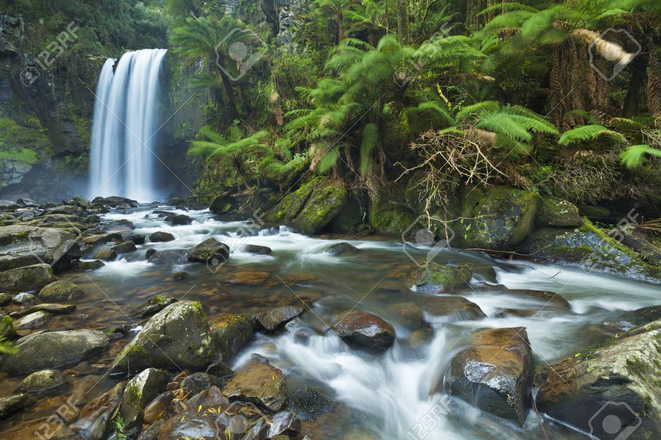 Chute D Eau Dans Une Foret Tropicale Luxuriante Photographie A Des Chutes Hopetoun Dans Le Parc National Great Otway A Victoria En Australie Banque D Images Et Photos Libres De Droits Image
