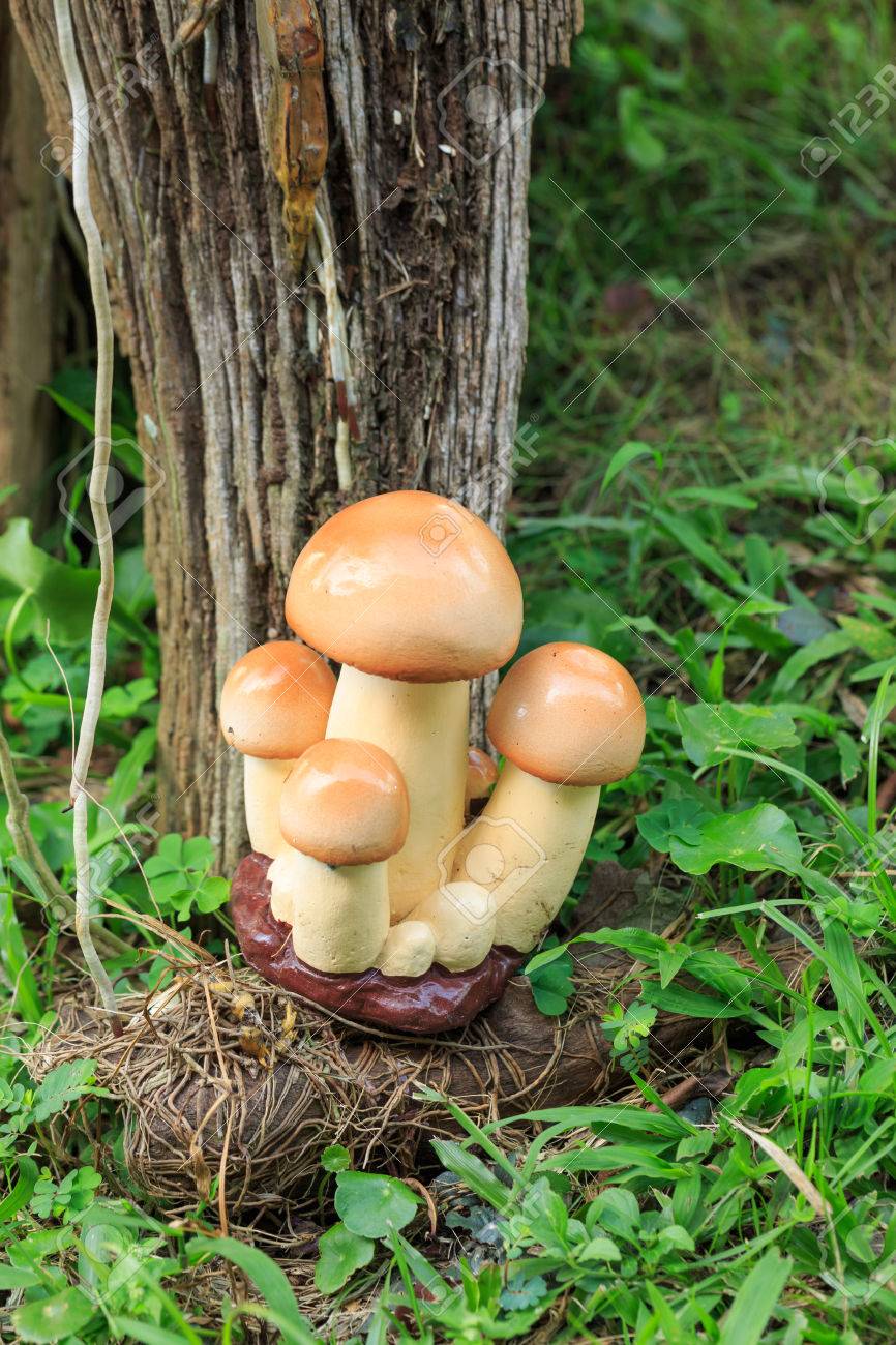 Décoration De Jardin - Champignon De Ciment Dans L\'herbe Banque D ... Décoration De Jardin - Champignon De Ciment Dans L\'herbe Banque D ...