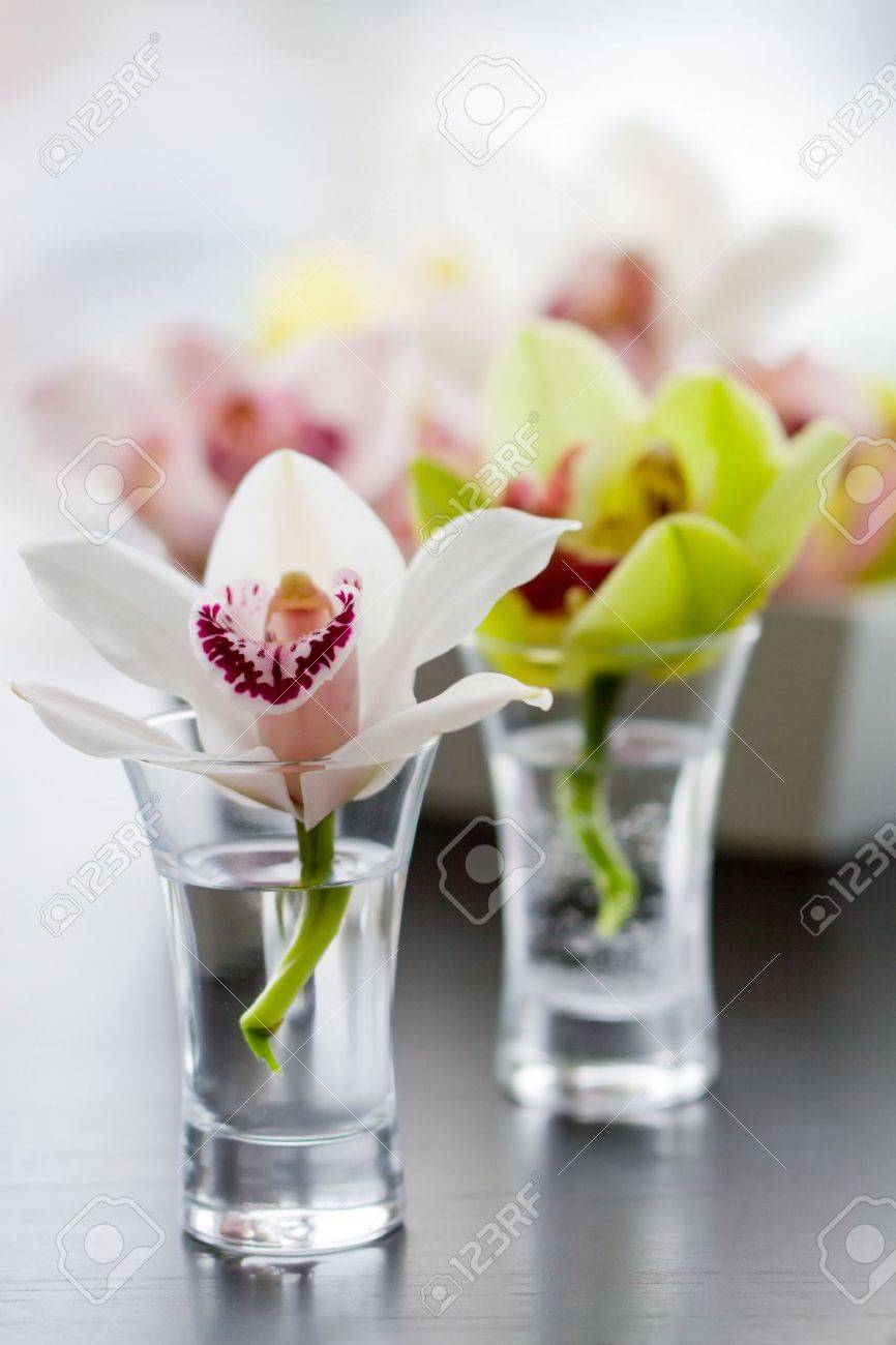 Beaty Orchids In Small Glass Vases Stock Photo Picture And - Stock Photo Beaty Orchids In Small Glass Vases beaty orchids in small glass vases stock photo picture and - stock photo beaty orchids in small glass vases