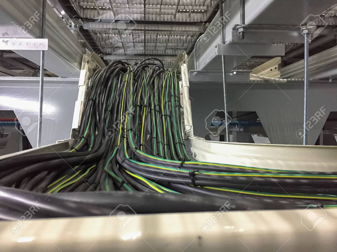 etiam-dictum-ipsum-a-felis