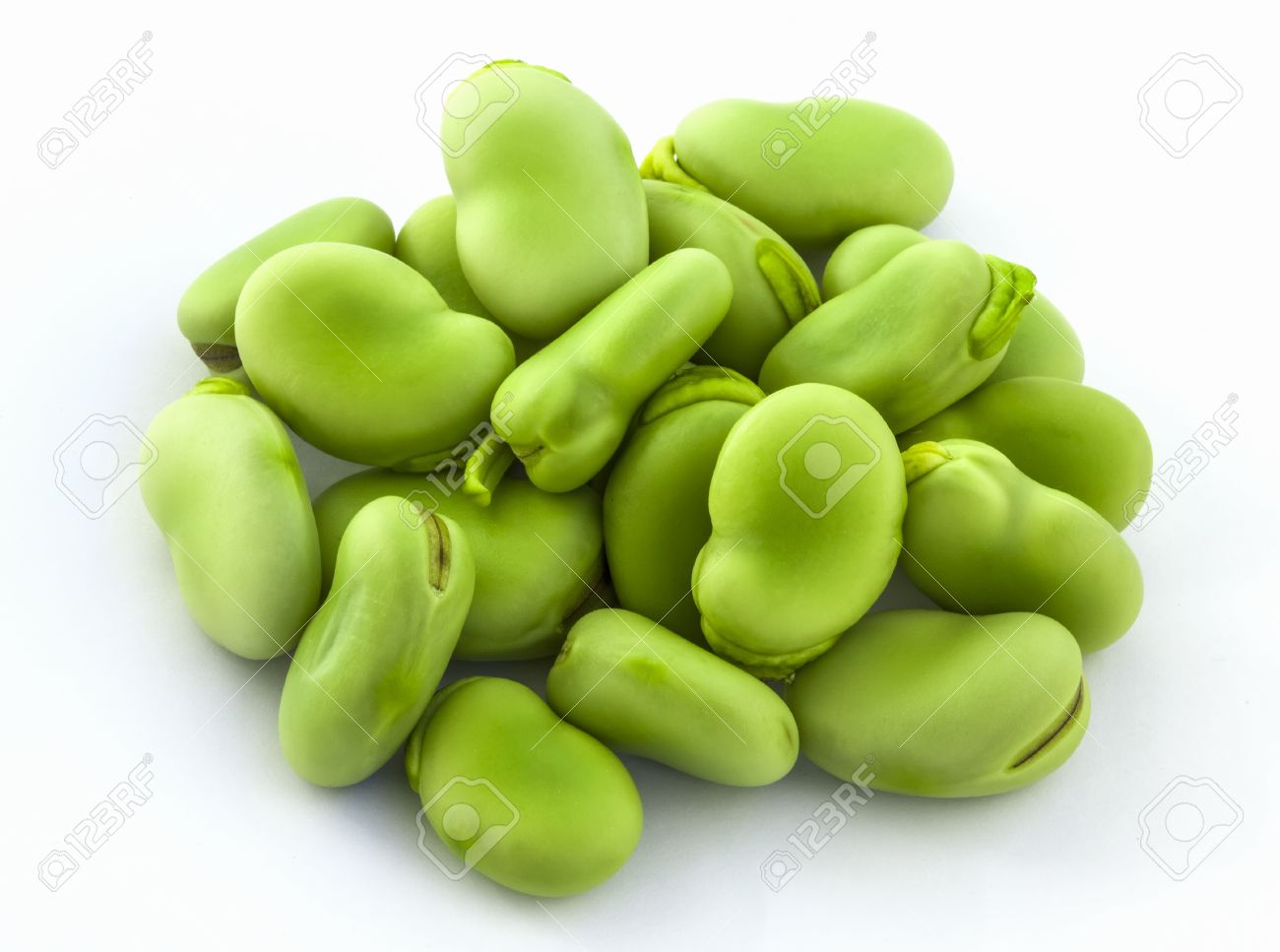 空豆の緑の種子緯度 Visia ソラマメ。そら豆ソラマメ Bean ベル