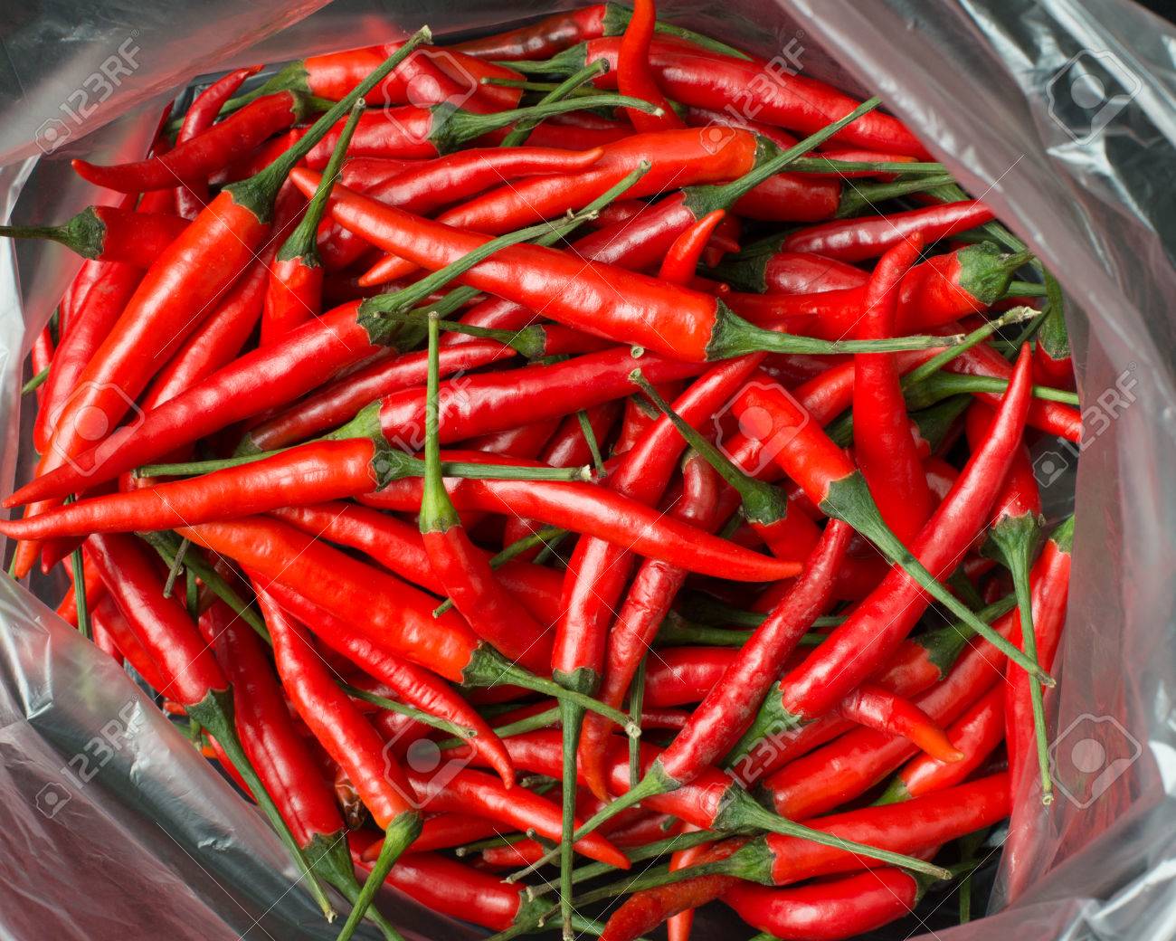 Download Red Chillies In Plastic Bag Stock Photo Picture And Royalty Free Image Image 38776964 Yellowimages Mockups