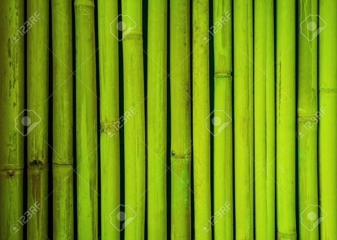 グリーン竹フェンスのテクスチャ 竹の背景 テクスチャ背景 竹テクスチャ の写真素材 画像素材 Image グリーン竹フェンスのテクスチャ 竹の背景 テクスチャ背景 竹テクスチャ の写真素材 画像素材 Image