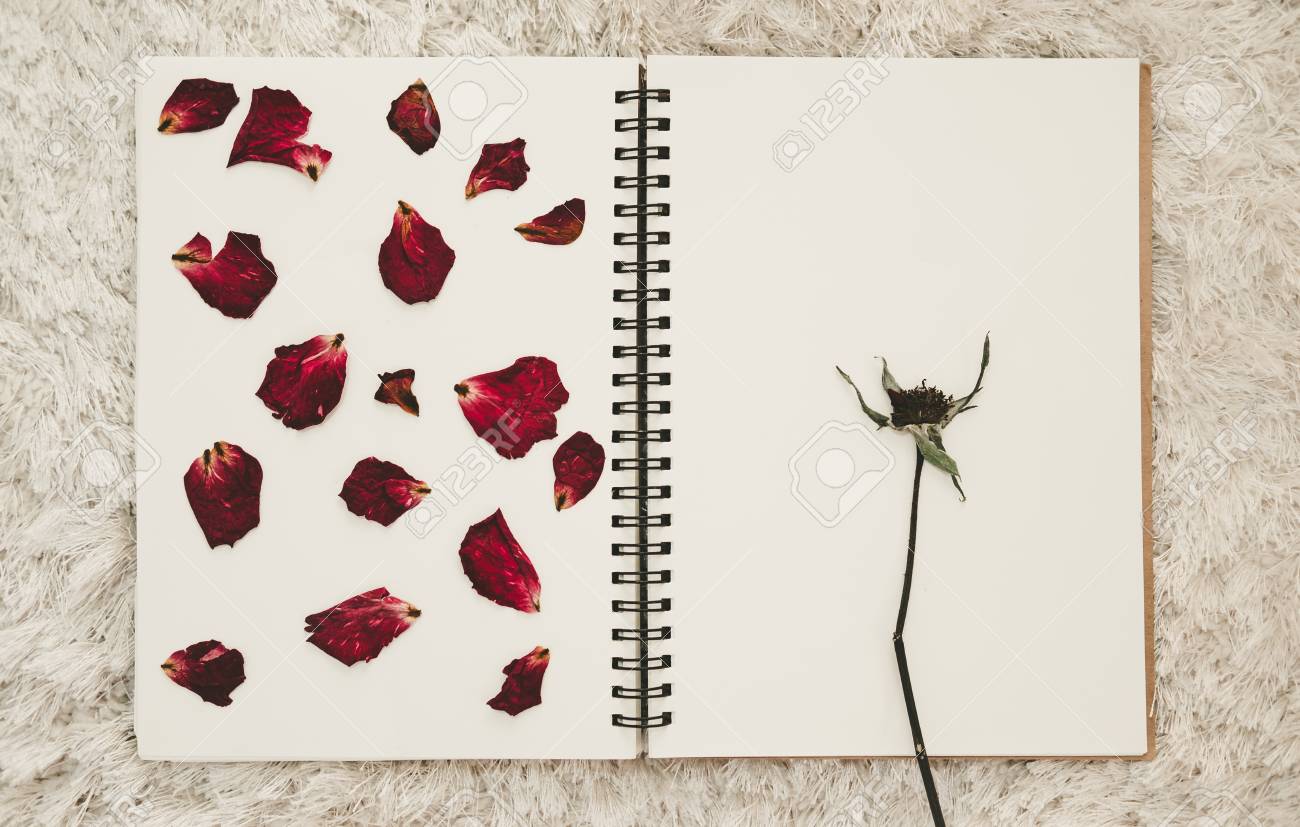 Appuyez Sur Les Pétales De Fleurs Roses Séchées Sur Lalbum Photo Avec Lespace De Copie