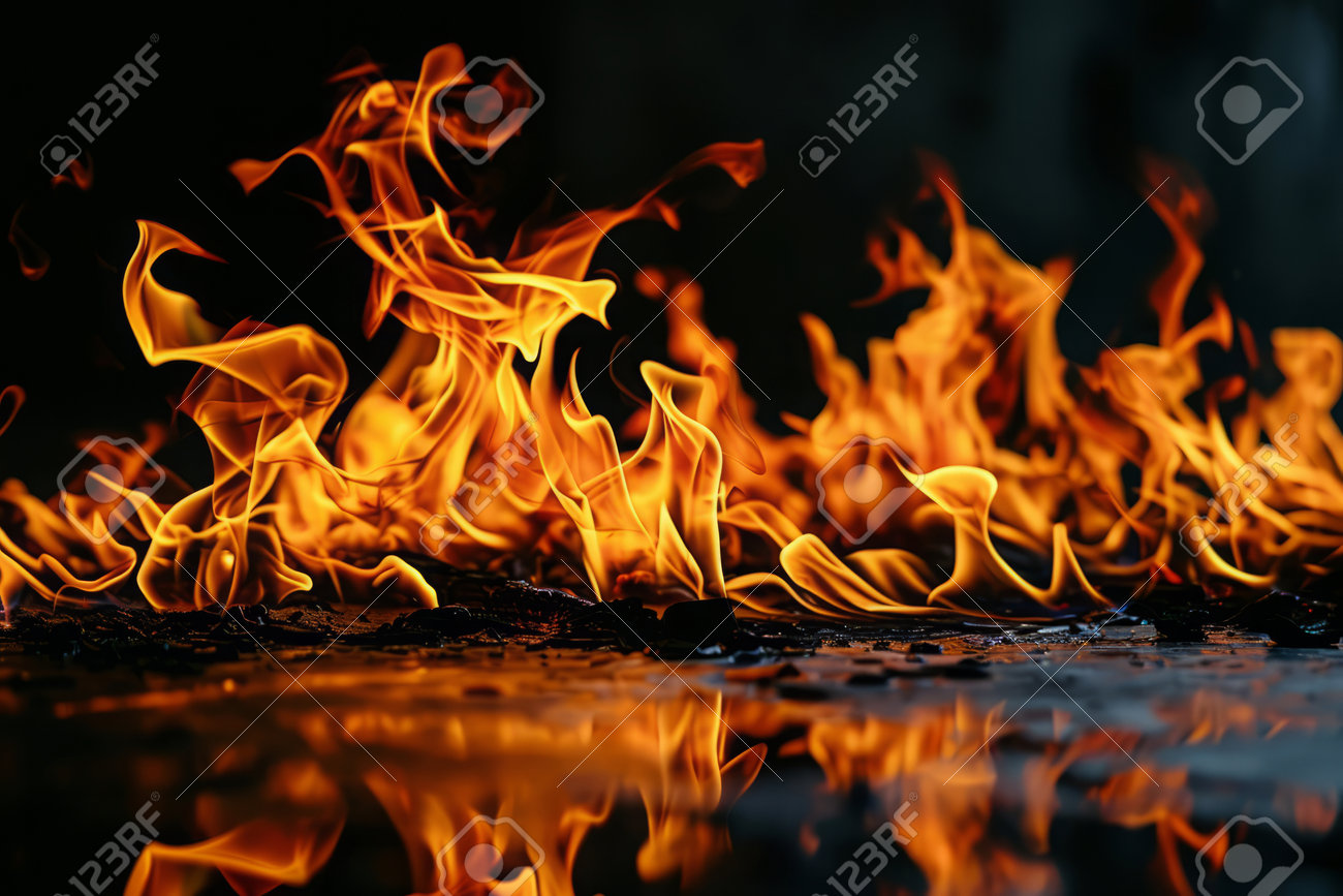 etiam-dictum-ipsum-a-felis