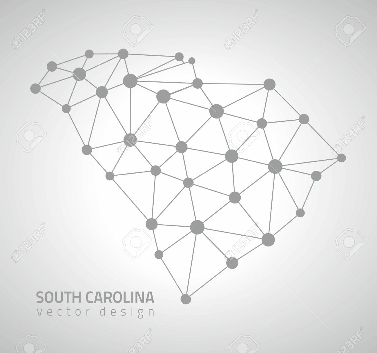 south carolina outline vector