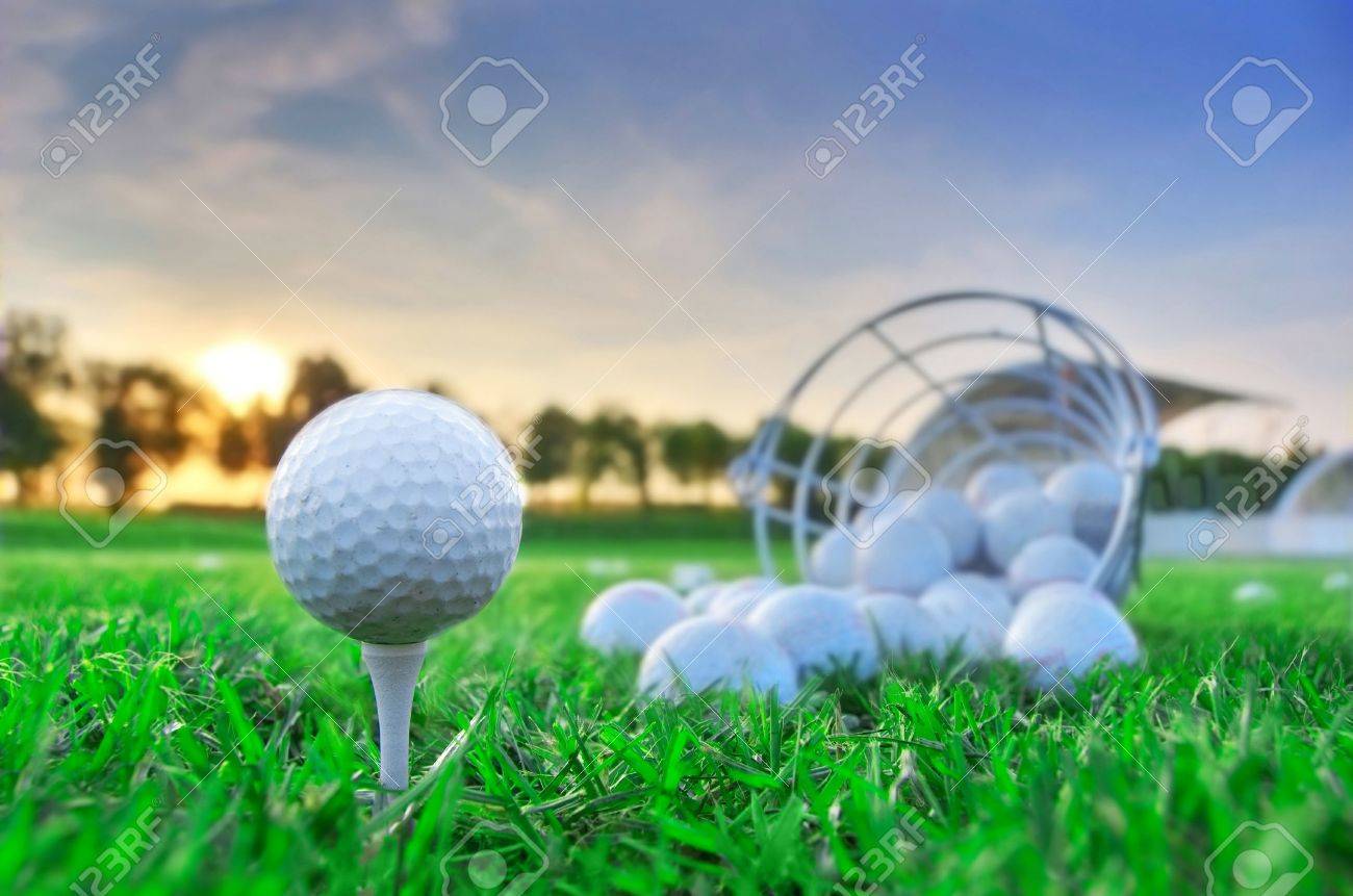 ゴルフの試合 草の中のゴルフ ボール の写真素材 画像素材 Image