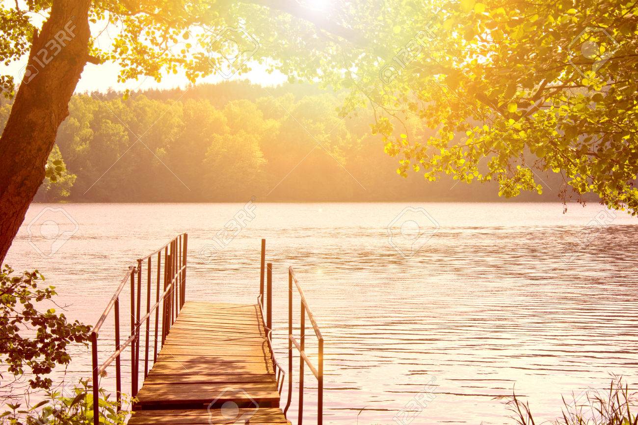 Beautiful Bright Day Summer Scenery. Lake And Trees. Stock Photo ...