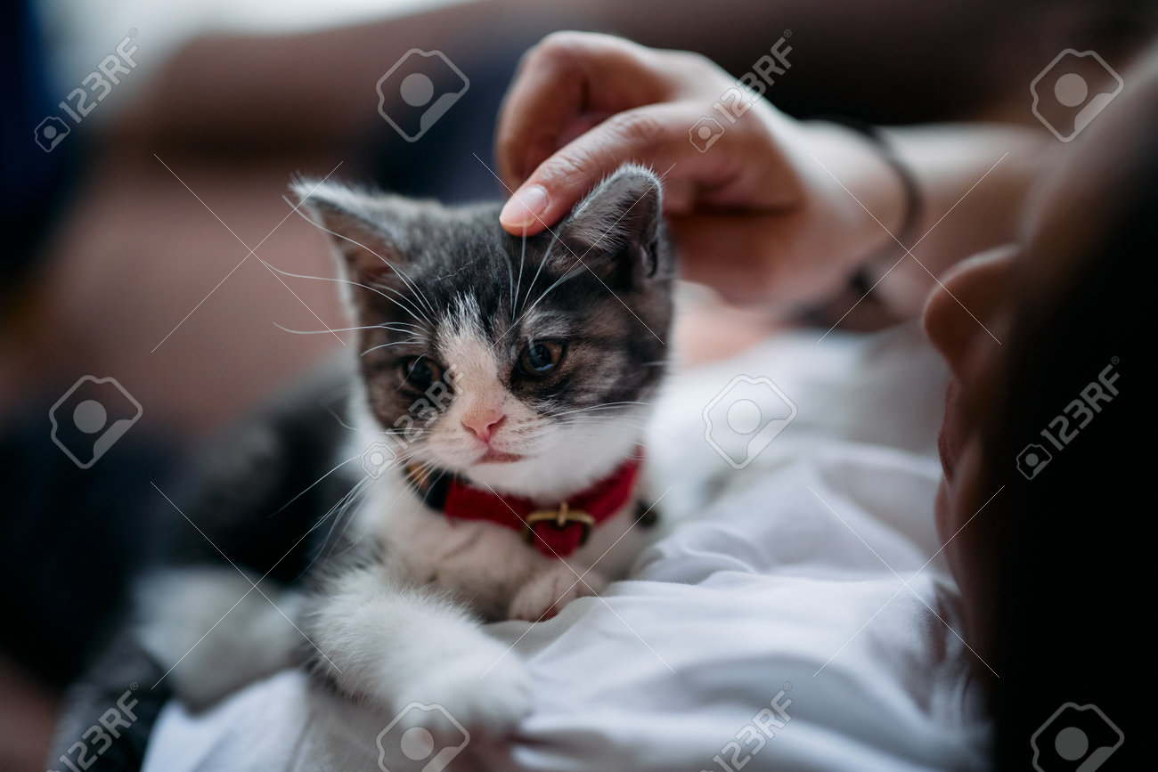 etiam-dictum-ipsum-a-felis