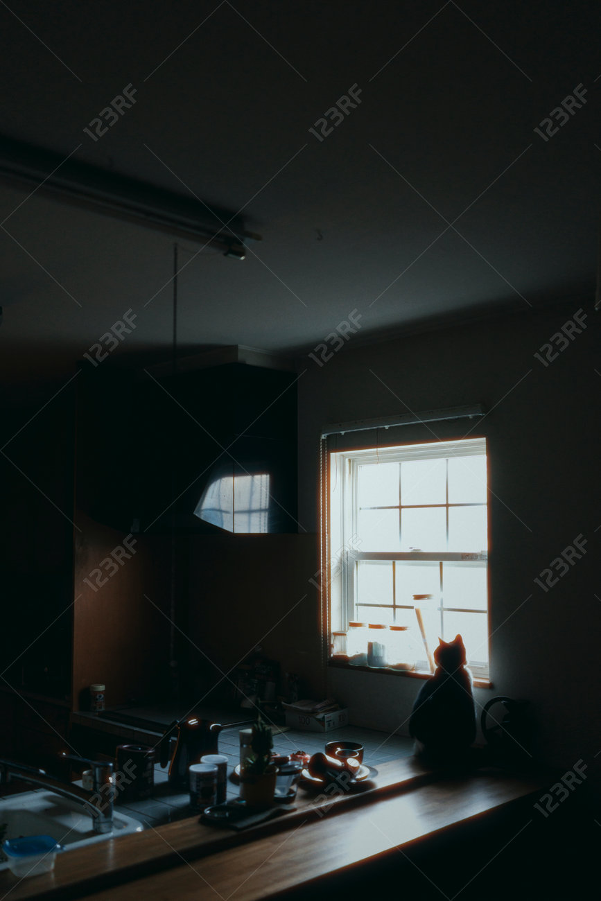 etiam-dictum-ipsum-a-felis