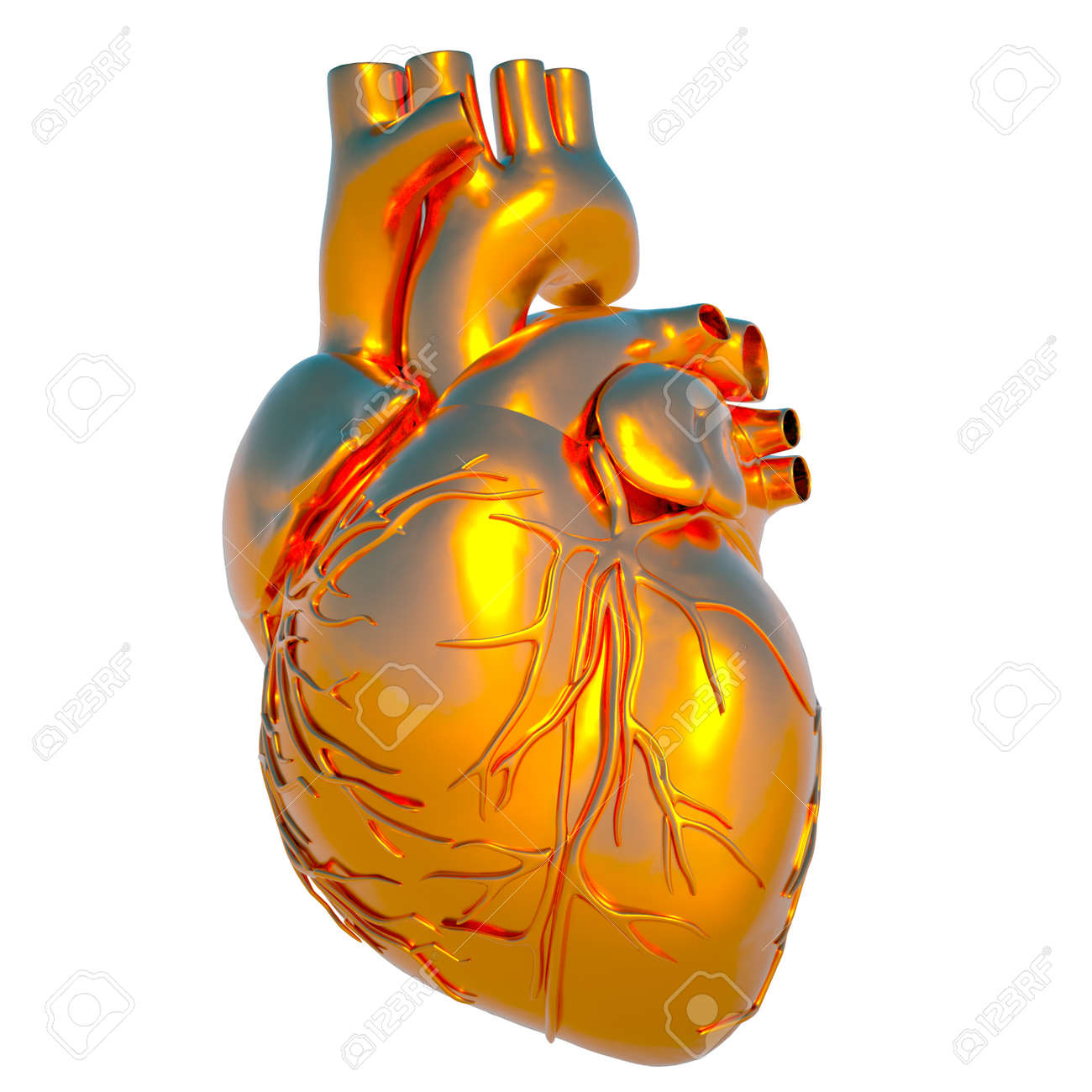 https://previews.123rf.com/images/satori/satori1108/satori110800053/10356852-modelo-de-coraz%C3%B3n-humano-coraz%C3%B3n-de-oro.jpg