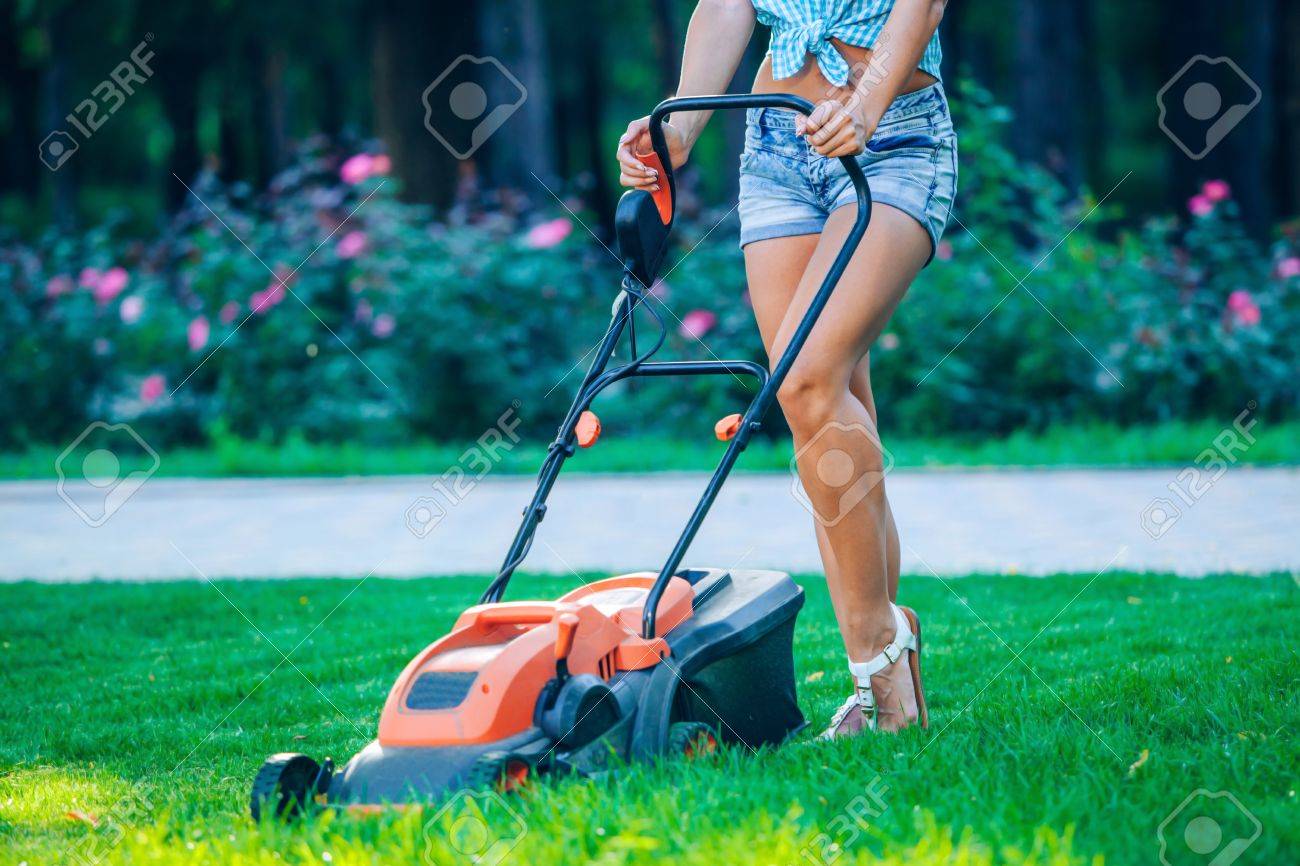 Woman mowing lawn in residential back garden on sunny day. - 44463526 Woman mowing lawn in residential back garden on sunny day. - 44463526