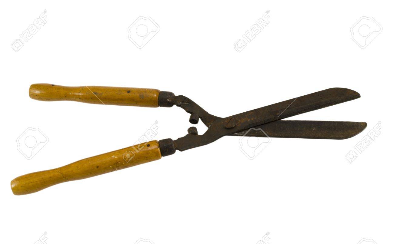 hedge trimmer shears