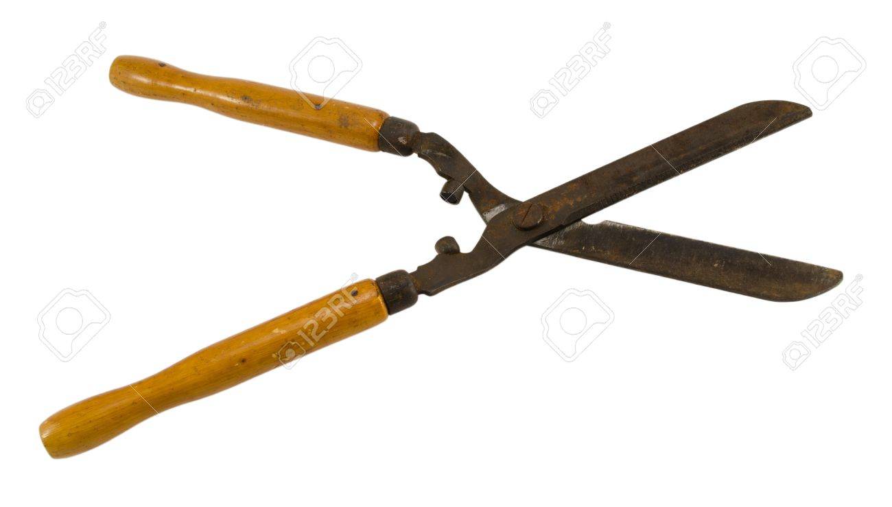 hedge trimmer shears