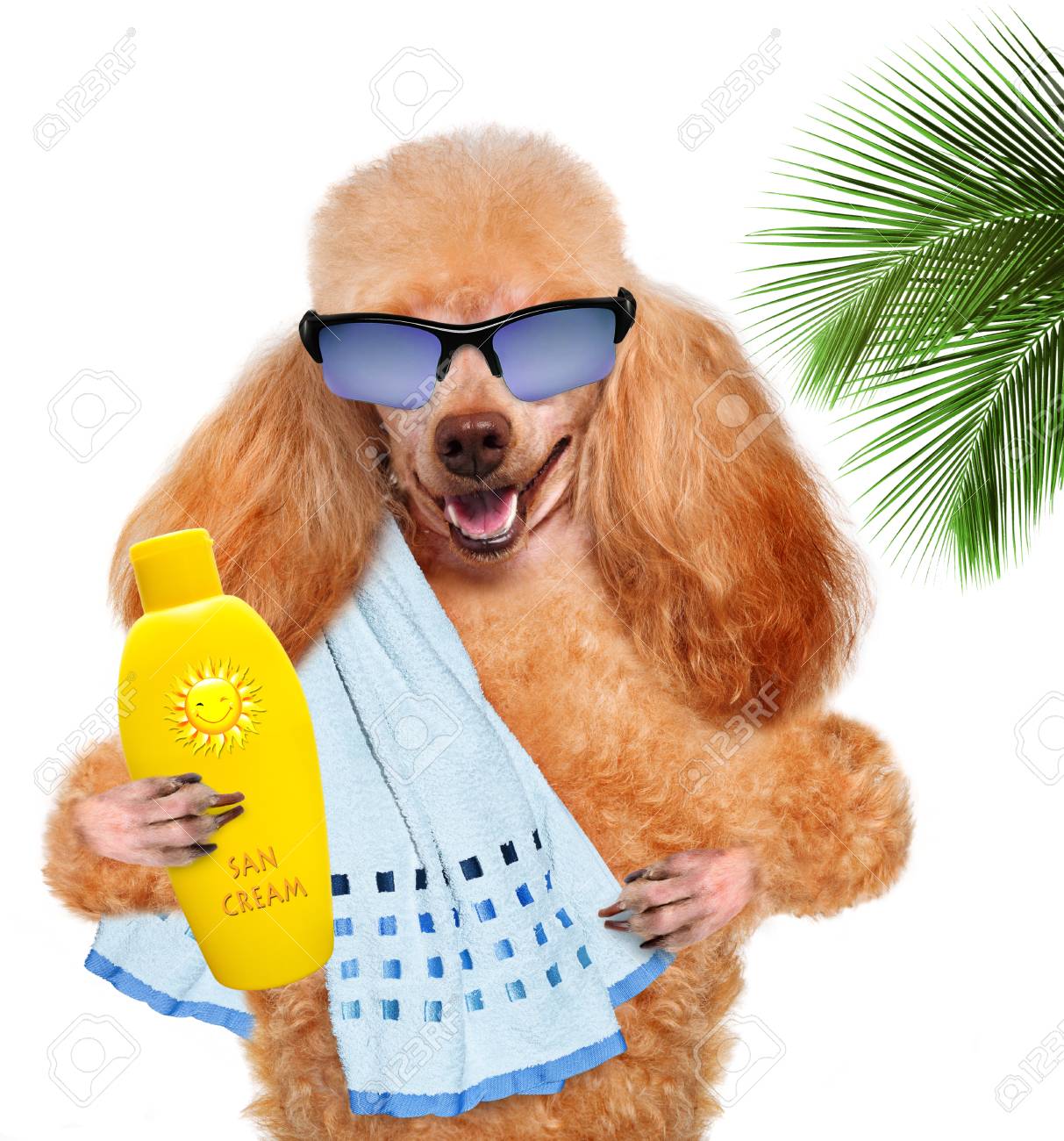dog sunscreen