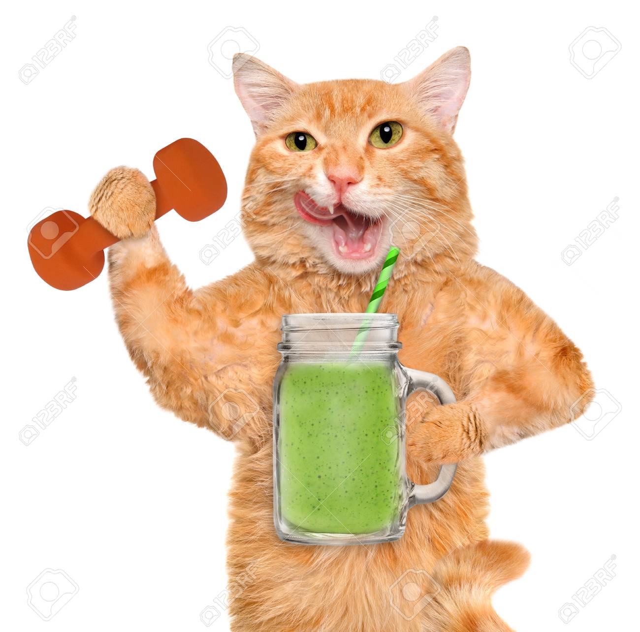 フィットネスは トレーニングの後飲むフルーツのスムージーを猫します フィットネスと健康的なライフ スタイルのコンセプト の写真素材 画像素材 Image