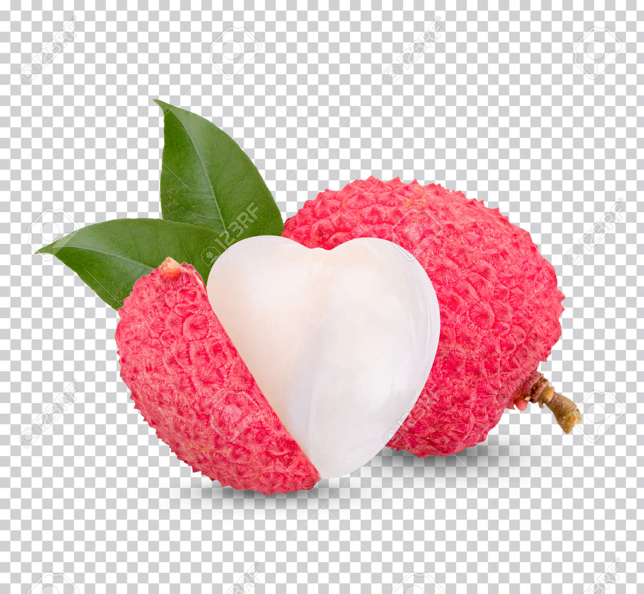 etiam-dictum-ipsum-a-felis