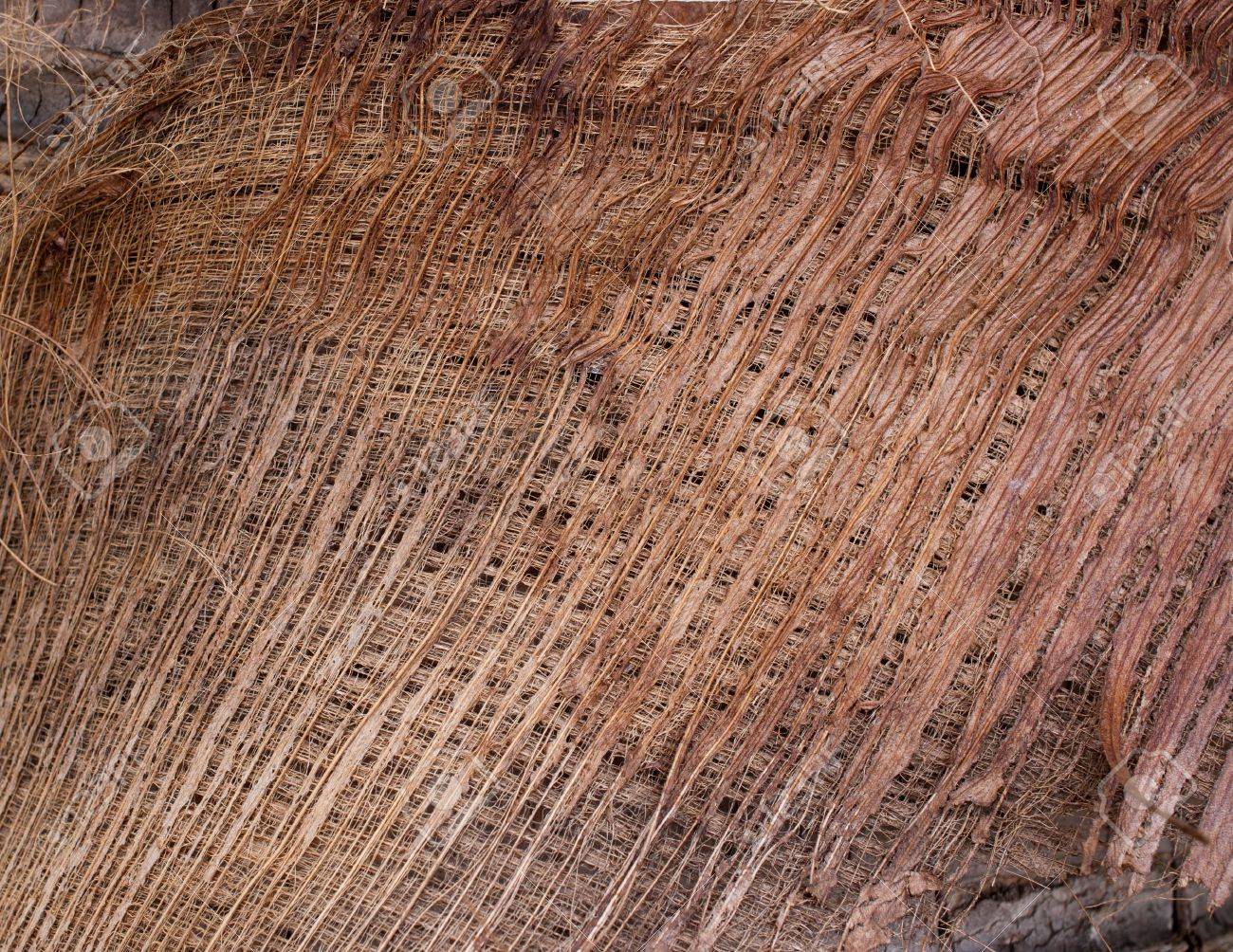 ココナッツの木の繊維パターン背景 の写真素材 画像素材 Image 1487