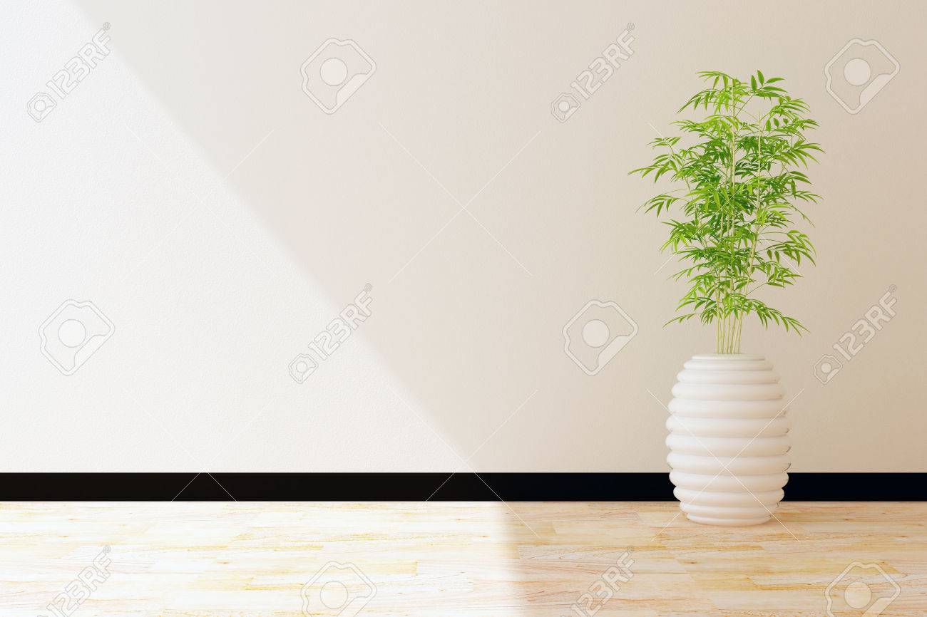 Pot Arbol Y Pared Blanca Interior Decorado Fotos Retratos