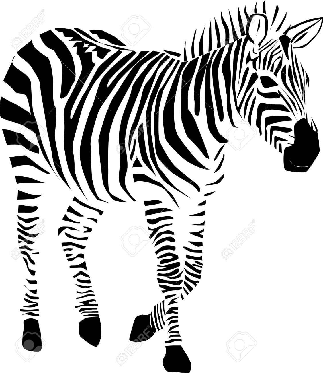 free zebra
