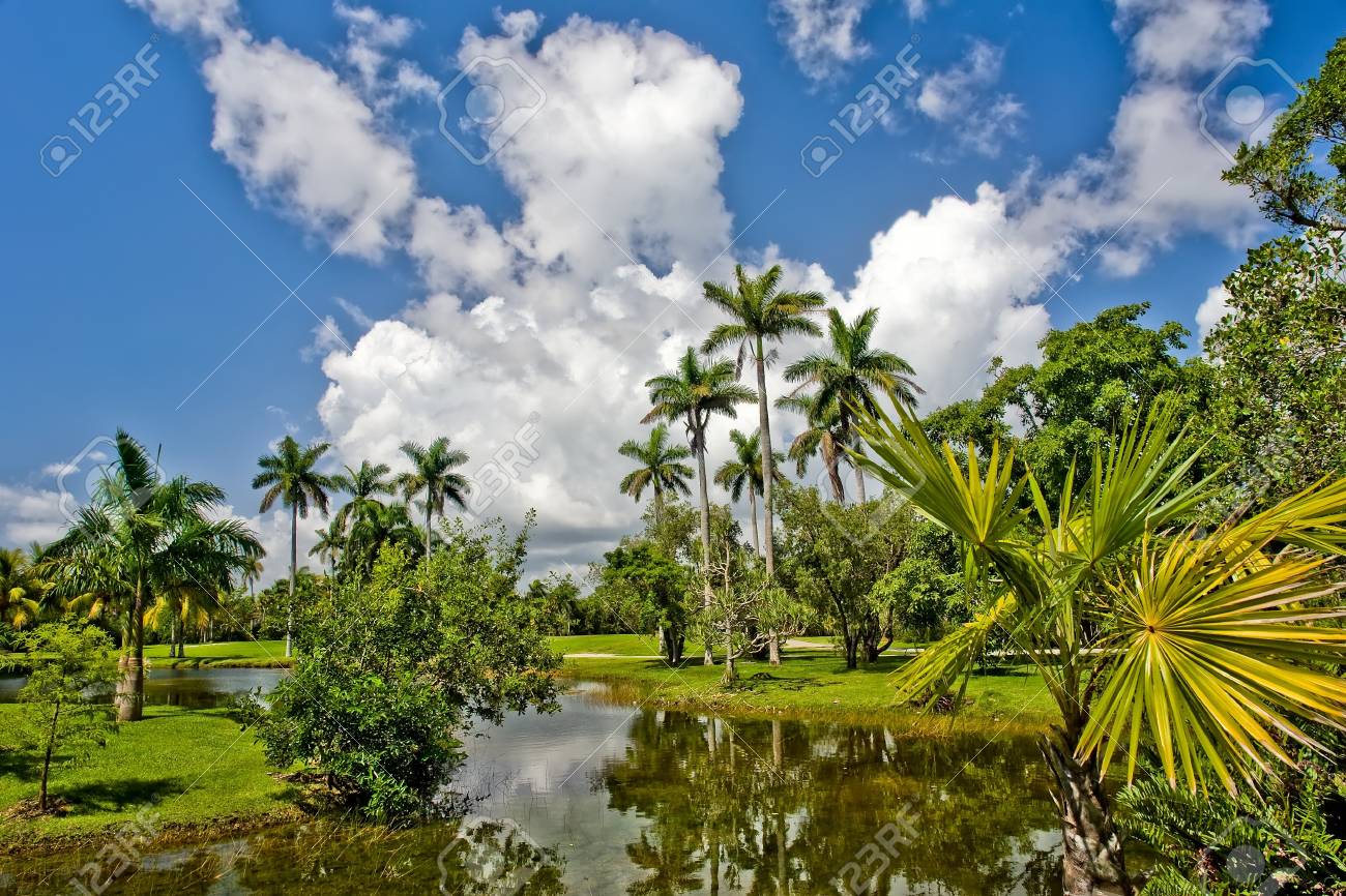 Fairchild Tropical Botanic Garden Fl Usa Stock Photo Picture