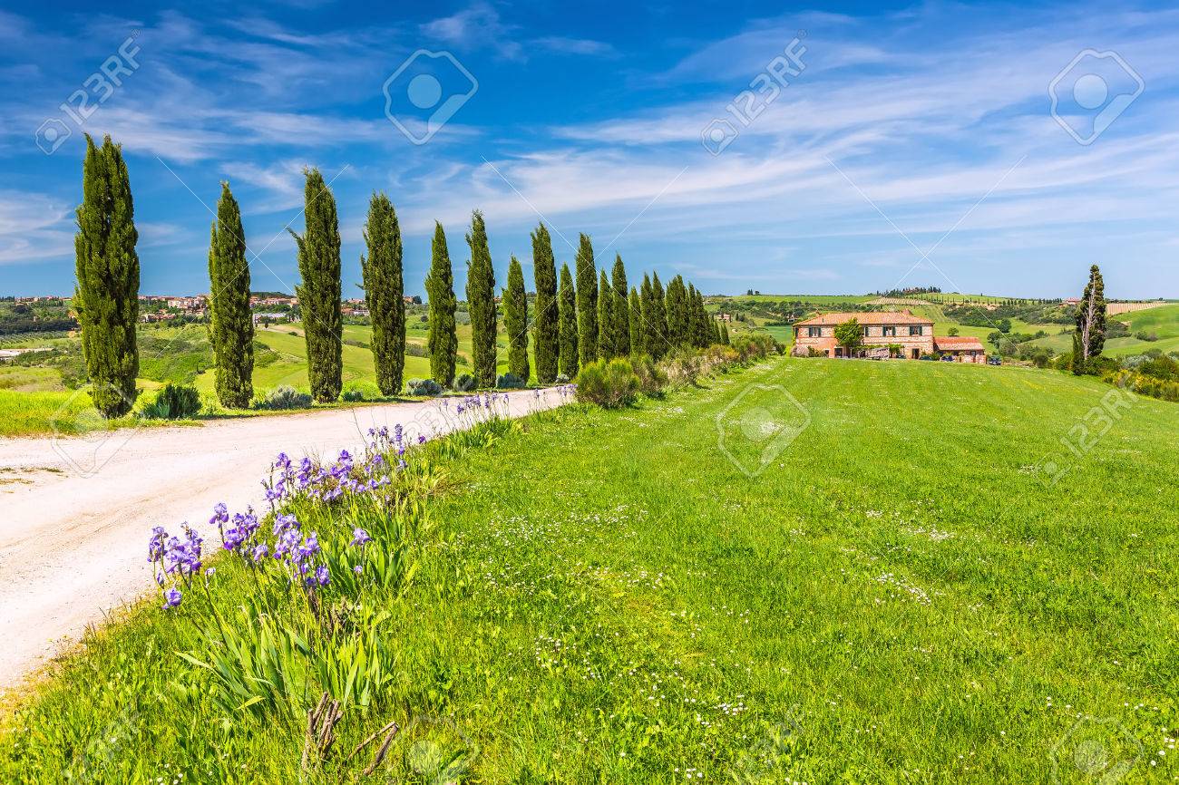 トスカーナ風景