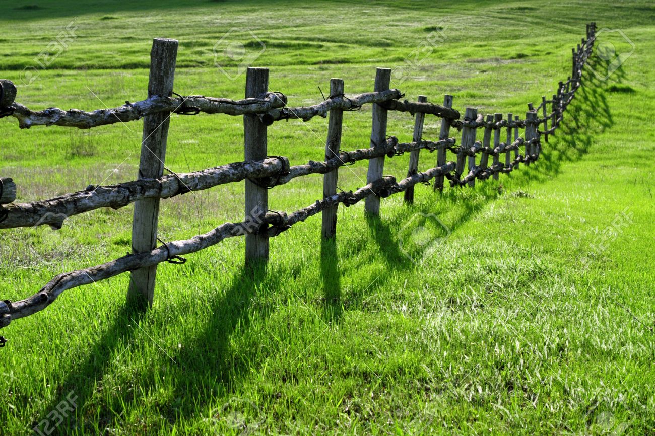homesteading