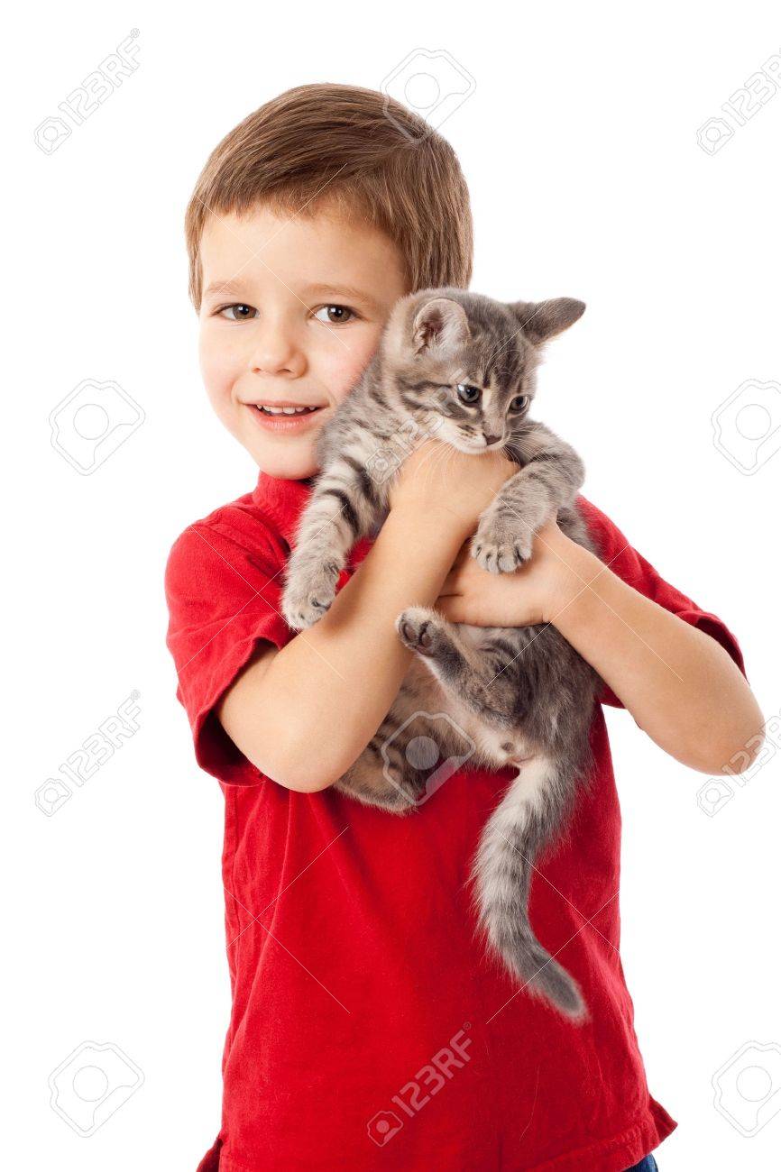 11163765-Little-boy-with-gray-kitty-in-hands-isolated-on-white-Stock-Photo.jpg