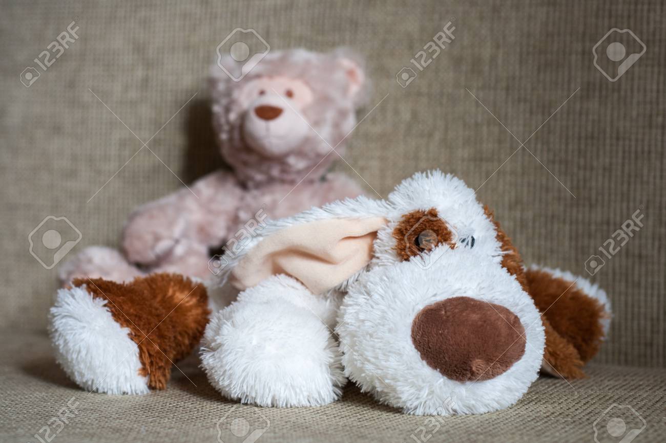 etiam-dictum-ipsum-a-felis