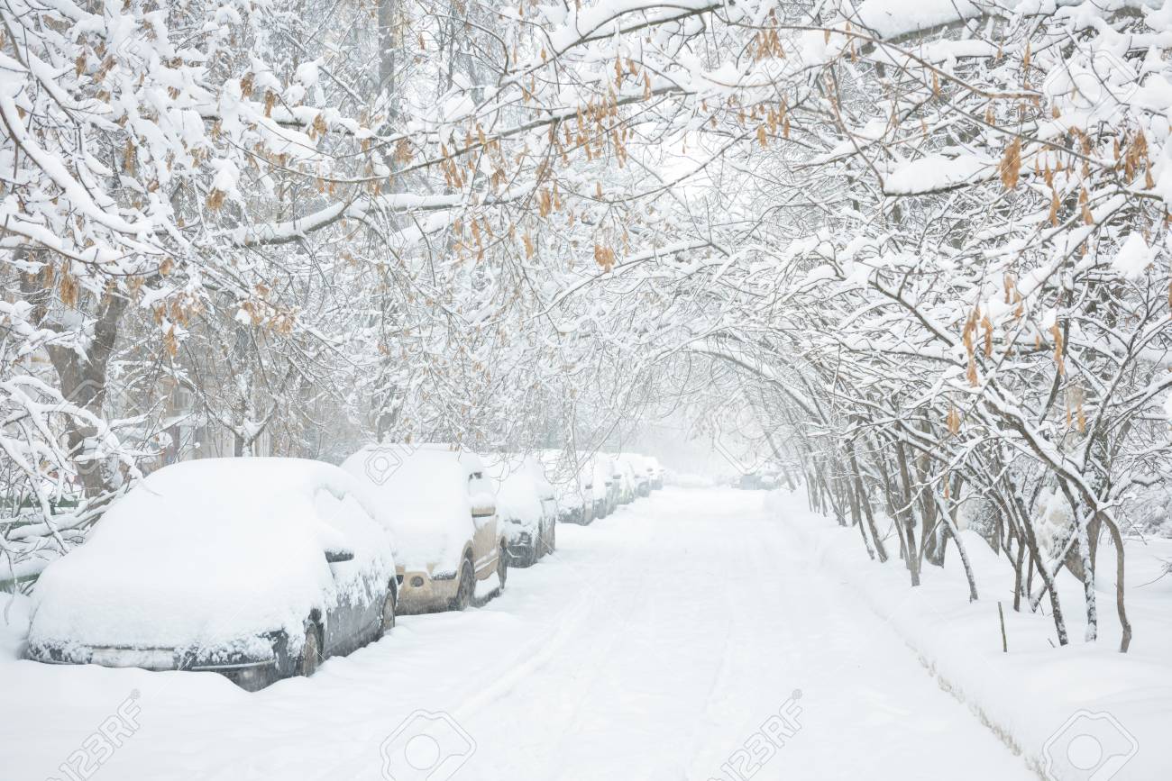 【サボ　愛称板】（表）しれとこ SHIRETOKO（裏）大雪 TAISETSU ○【サボ 愛称板】（表）しれとこ SHIRETOKO（裏）大雪 TAISETU