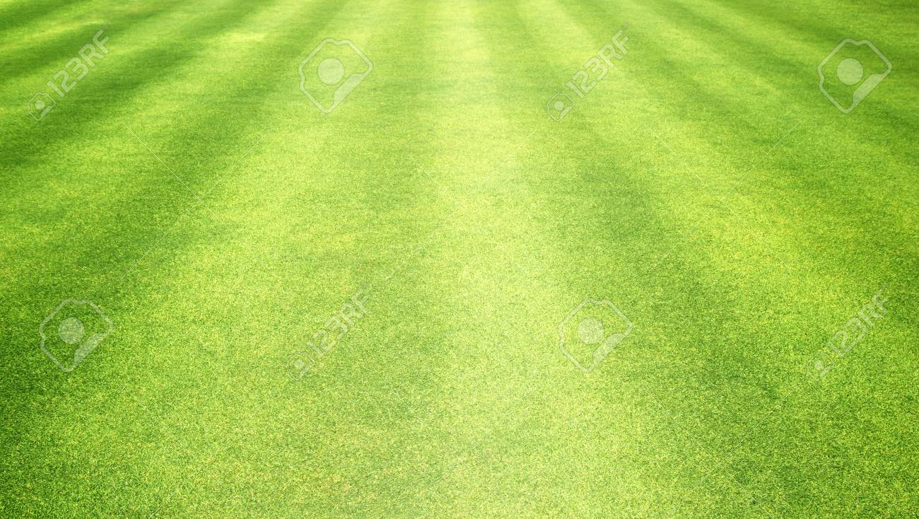 Fond De Gazon Vert Gazon Fond Texture Banque D Images Et Photos Libres De Droits Image