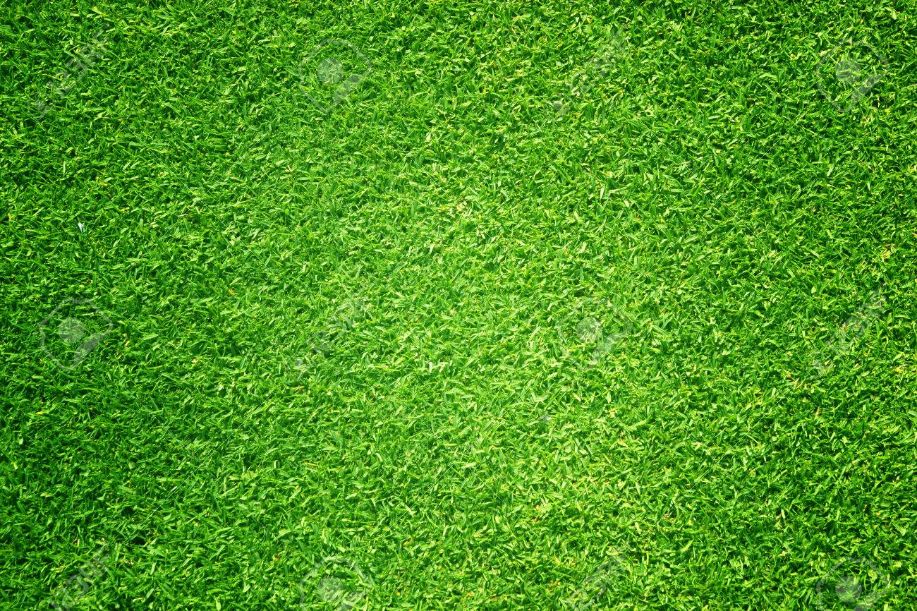 football ground grass