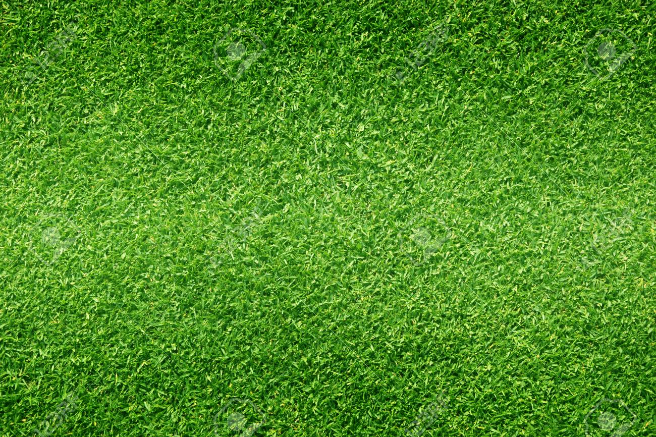 football grass ground