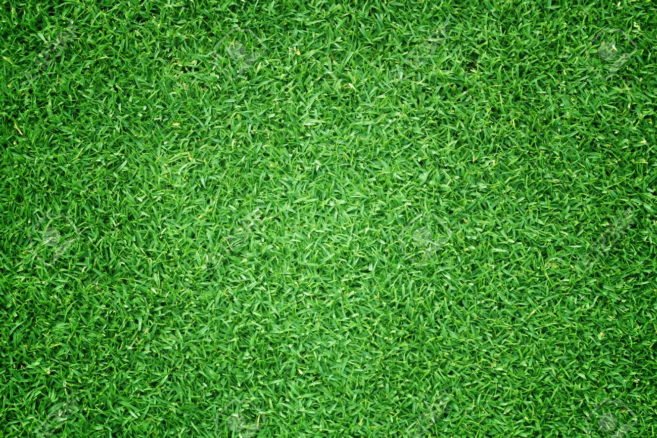 football grass ground