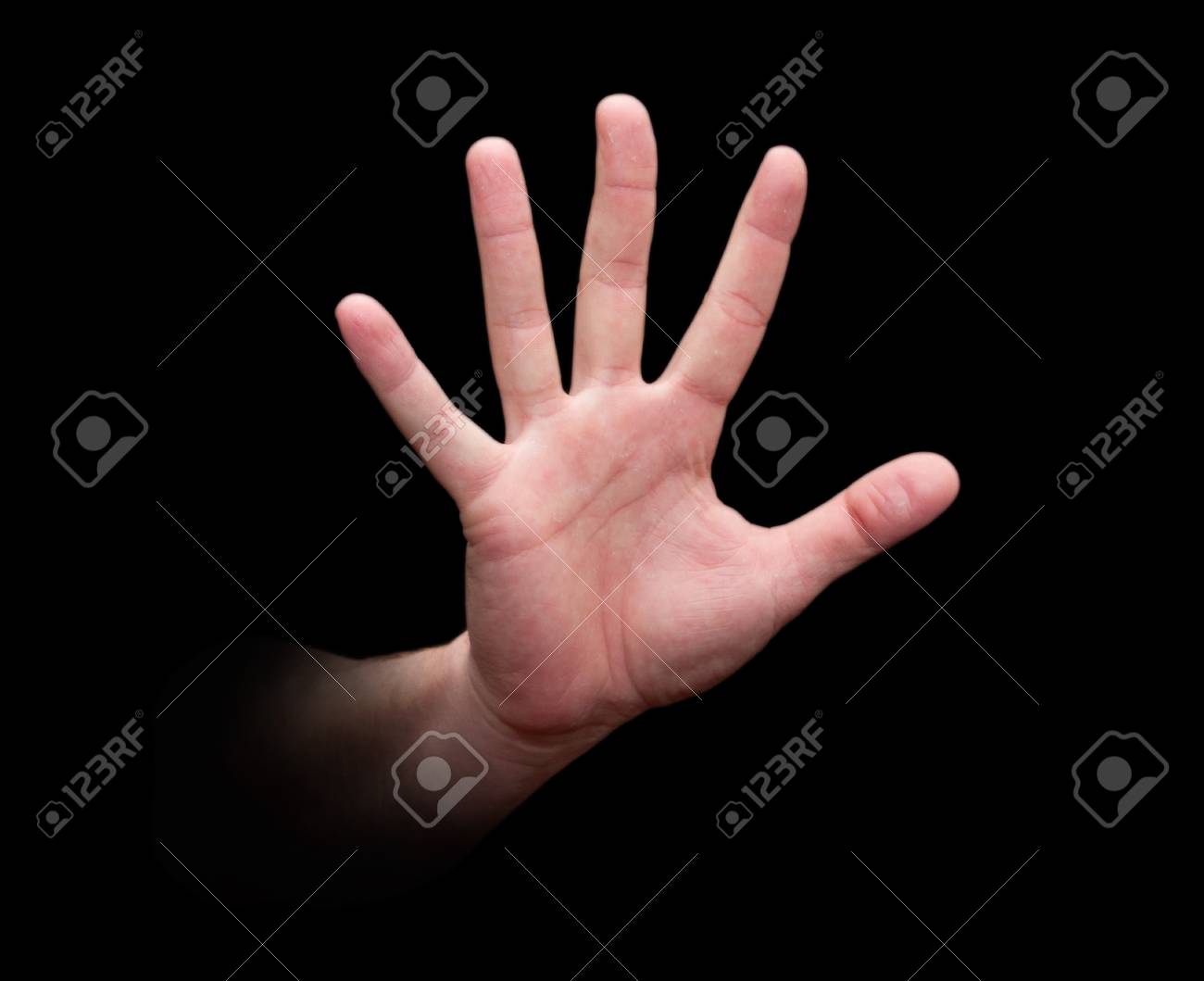 etiam-dictum-ipsum-a-felis