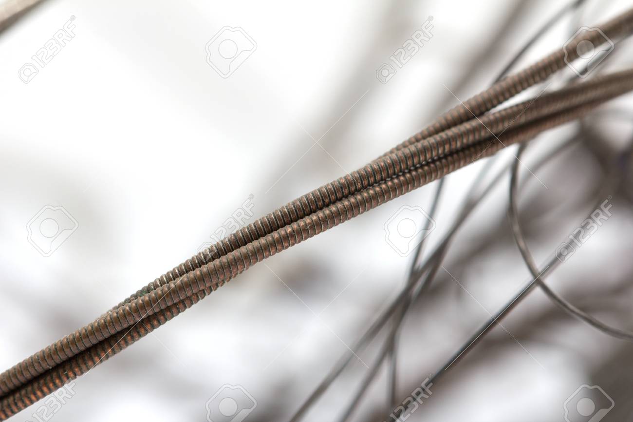 etiam-dictum-ipsum-a-felis