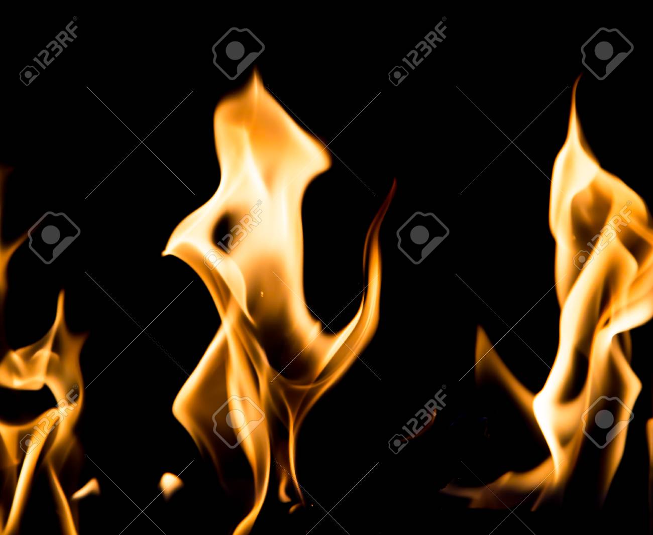 etiam-dictum-ipsum-a-felis