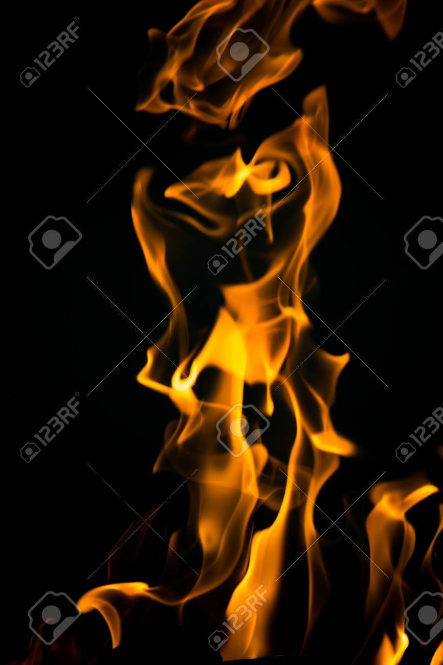 etiam-dictum-ipsum-a-felis