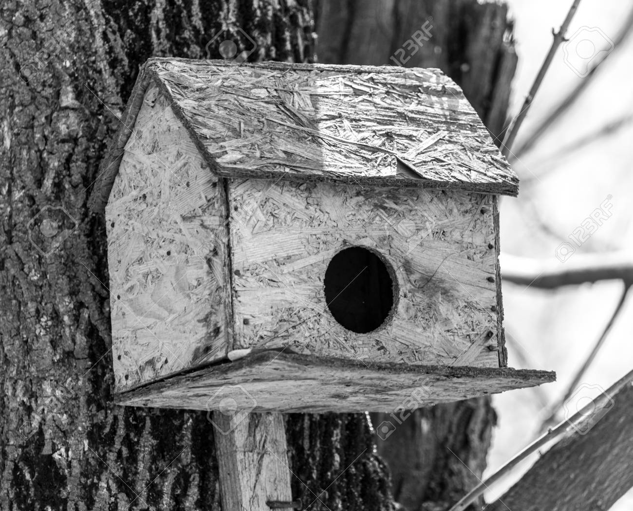 etiam-dictum-ipsum-a-felis