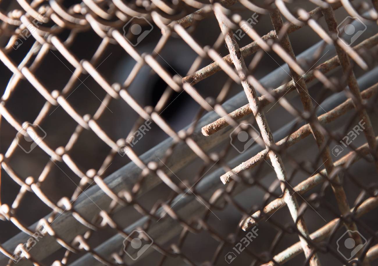 etiam-dictum-ipsum-a-felis