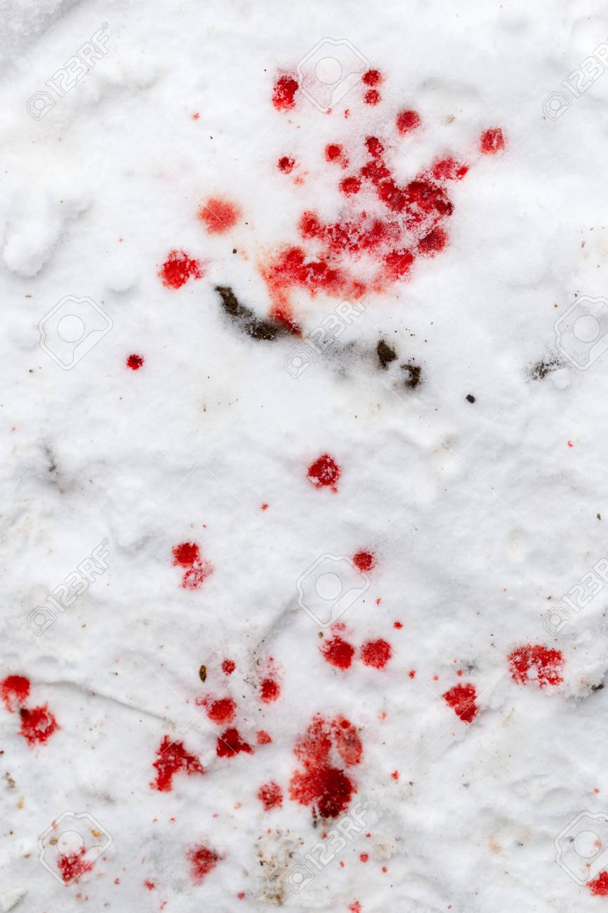 Blood on the Snow
